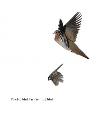 The Big Bird Has The Little Bird